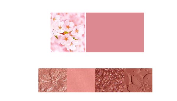 ⁦NOVO Eyeshadow Palette⁩ - الصورة ⁦3⁩